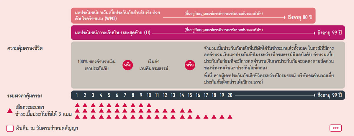 ภาพแสดงผลประโยชน์ และความคุ้มครอง AIA PAY LIFE PLUS